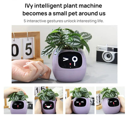 USmart Grow Ivy Smart Planter