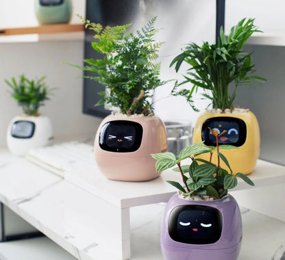 USmart Grow Ivy Smart Planter