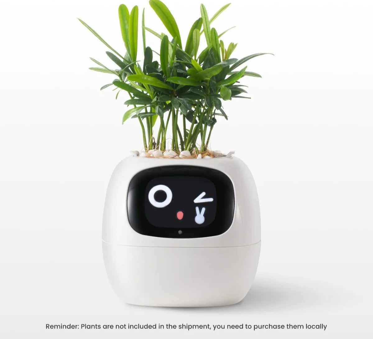 USmart Grow Ivy Smart Planter