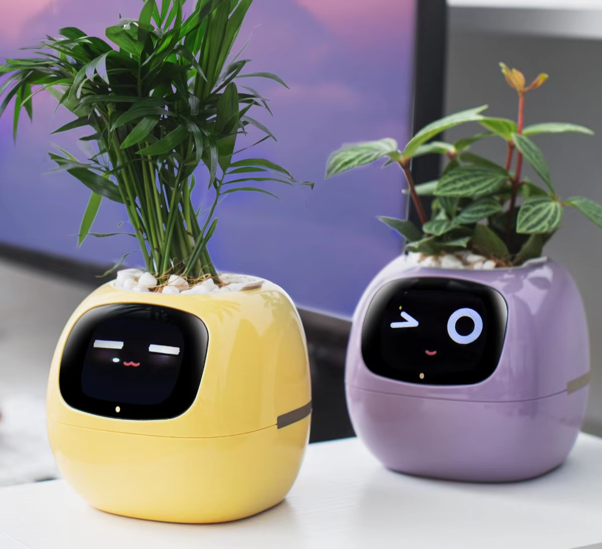 USmart Grow Ivy Smart Planter