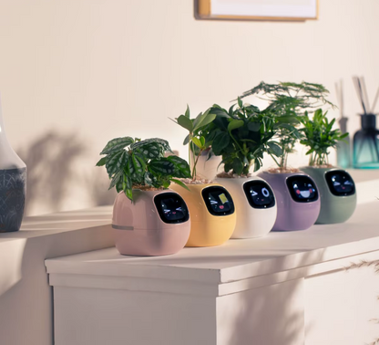 USmart Grow Ivy Smart Planter