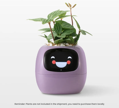 USmart Grow Ivy Smart Planter