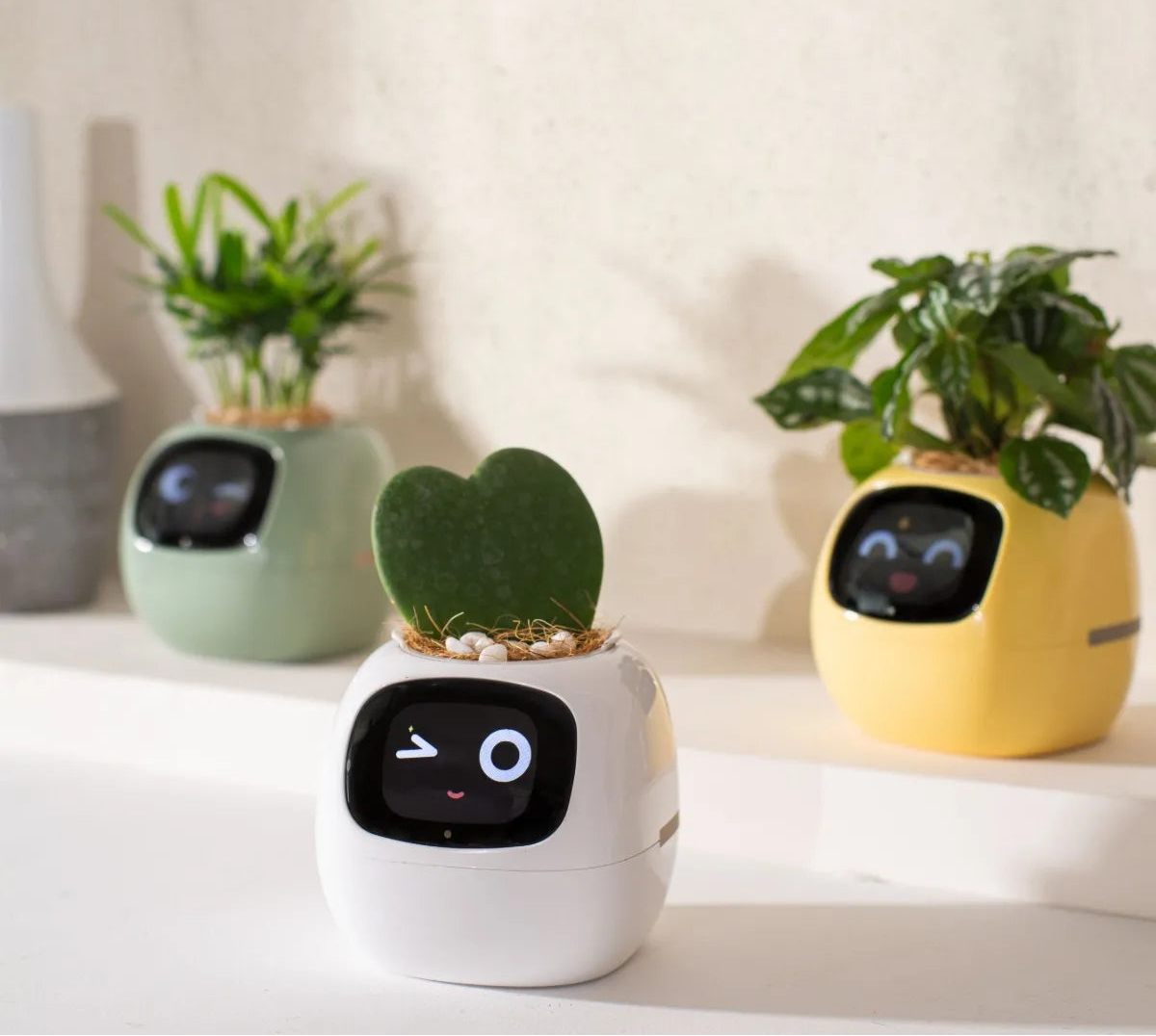 USmart Grow Ivy Smart Planter