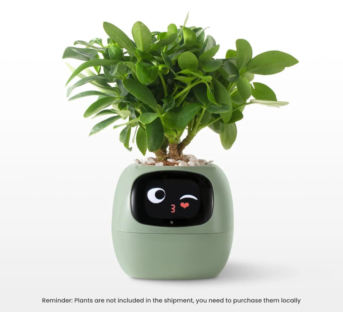 USmart Grow Ivy Smart Planter