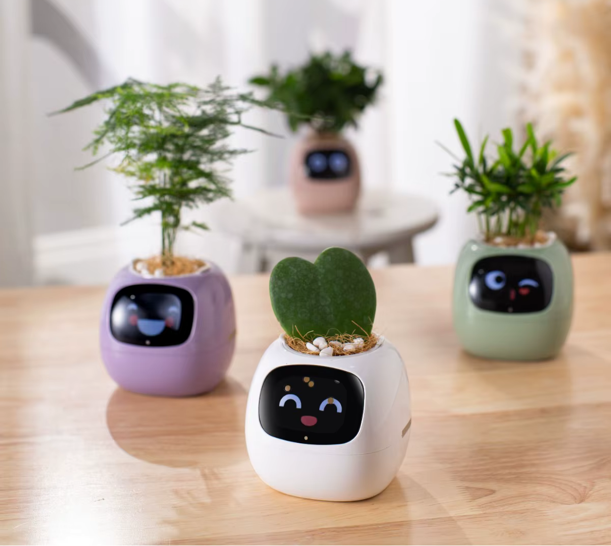 USmart Grow Ivy Smart Planter